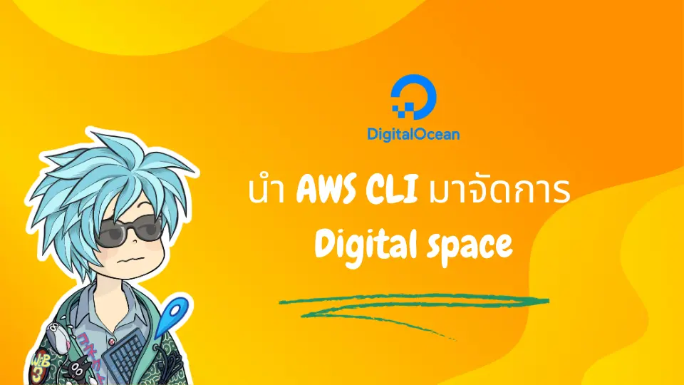  aws cli digital space