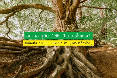 อยากอายุยืน 100 ปีแบบแข็งแรง? นี่คือสิ่งที่คนใน "Blue Zones" ทำ (แล้วเราก็ทำได้!)