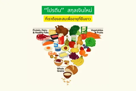 โปรตีน สกุลเงินใหม่ที่คุณต้องรีบสะสม (ก่อนจะแก่เกินแก้)
