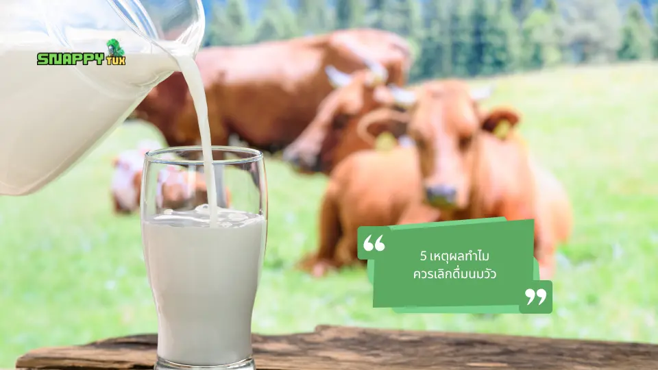 5 เหตุผลทำไม ควรเลิกดื่มนมวัว